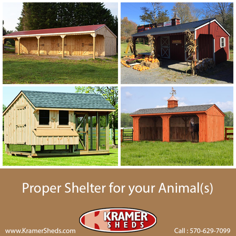 Get proper Shelter for your Animals