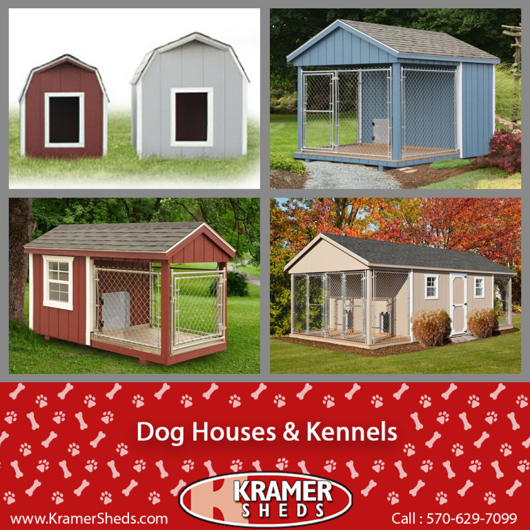 Dog House and Dog Kennel Options