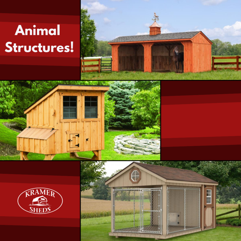 Safe & Enclosed Animal Structures